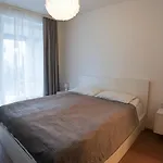 Holesovice Delight: Modern Comfort With A Twist In 7 *